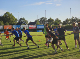 Training S.K.N.W.K. 1, 2 en JO19-1 van donderdag 15 augustus 2024 (86/218)